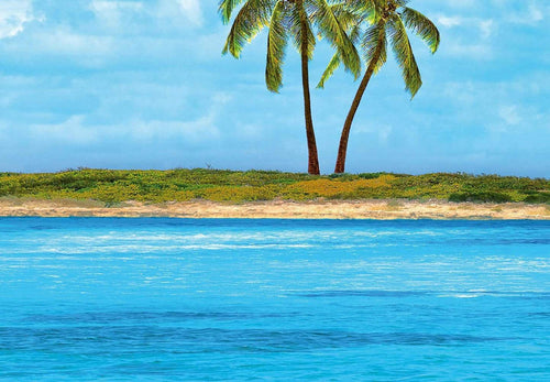 00166 close up Paradise cdd7af3a 1b0f 4a1a aa2e fb60870c872f | Yourdecoration.de