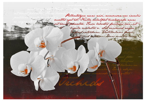Fototapete - Diary and Orchid - Vliestapete