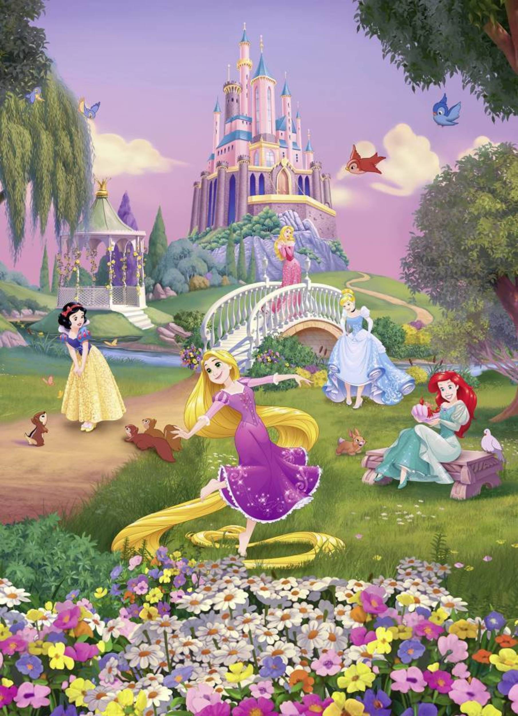 Fototapete Disney Princess Sunset 184x254cm | Poster