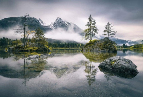 Wizard+Genius Foggy Day Vlies Fototapete 384x260cm 8-bahnen | Yourdecoration.de