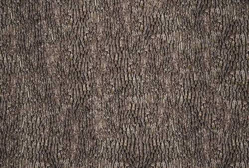 Wizard+Genius Bark Wall Vlies Fototapete 384x260cm 8-bahnen | Yourdecoration.de