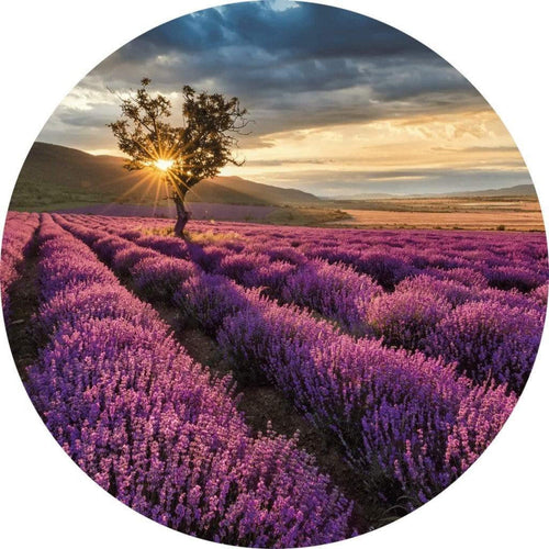 Wizard+Genius Lavender in the Provence Vlies Fototapete 140x140cm rund | Yourdecoration.de