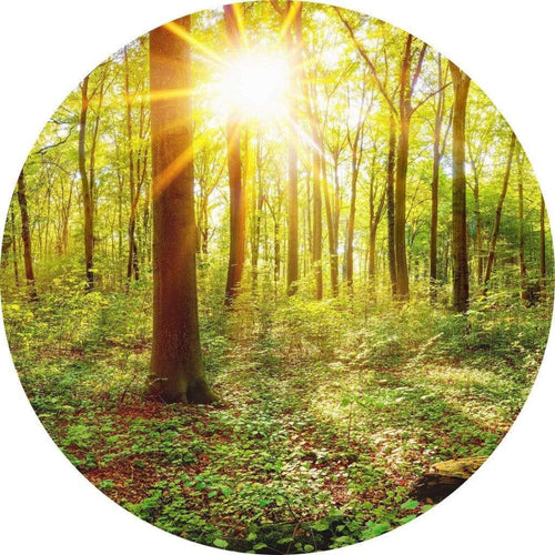 Wizard+Genius Deep in the Woods Vlies Fototapete 140x140cm rund | Yourdecoration.de