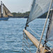 Komar Sailing Fototapete National Geographic 368x254cm | Yourdecoration.de