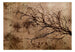 Fototapete - Rickety Cherry Tree - Vliestapete