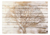 Fototapete - Tree on Boards - Vliestapete