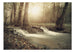 Fototapete - Forest Cascade - Vliestapete