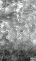 Dimex Apple Tree Abstract II Fototapete 150x250cm 2-bahnen | Yourdecoration.de