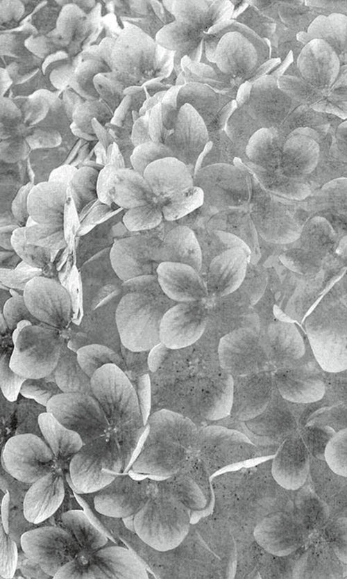 Dimex Apple Tree Abstract III Fototapete 150x250cm 2-bahnen | Yourdecoration.de