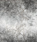 Dimex Branch Abstract Fototapete 225x250cm 3-bahnen | Yourdecoration.de