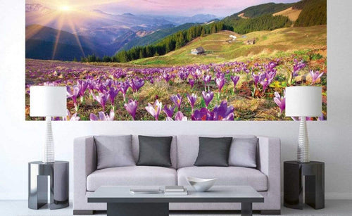 Dimex Crocuses at Spring Fototapete 375x150cm 5-Bahnen Sfeer | Yourdecoration.nl