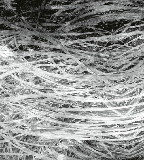 Dimex Hay Abstract II Fototapete 225x250cm 3-bahnen | Yourdecoration.de