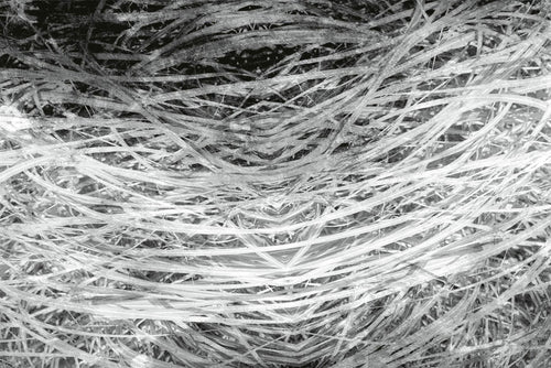 Dimex Hay Abstract II Fototapete 375x250cm 5-bahnen | Yourdecoration.de