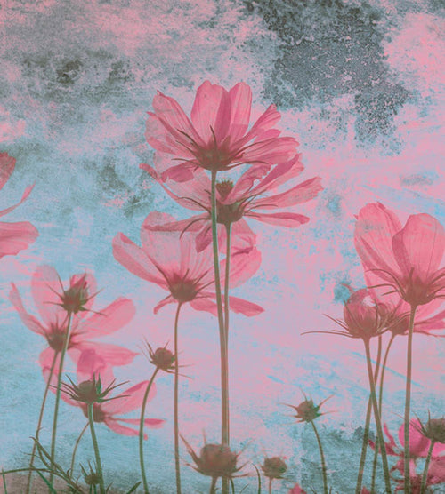 Dimex Pink Flower Abstract Fototapete 225x250cm 3-bahnen | Yourdecoration.de