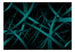 Fototapete - Dark Background - Vliestapete