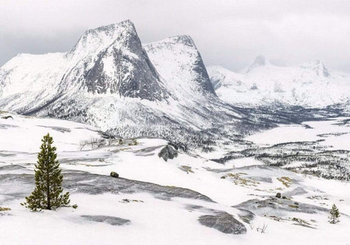 Komar White Enchanted Mountains Vlies Fototapete 400x280cm 8-Bahnen | Yourdecoration.de