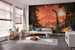 Komar Vlies Fototapete Iax10 0021 Brachiosaurus Panorama Interieur | Yourdecoration.de