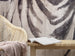 Komar Vlies Fototapete X4 1010 Zebra Int Detail | Yourdecoration.de