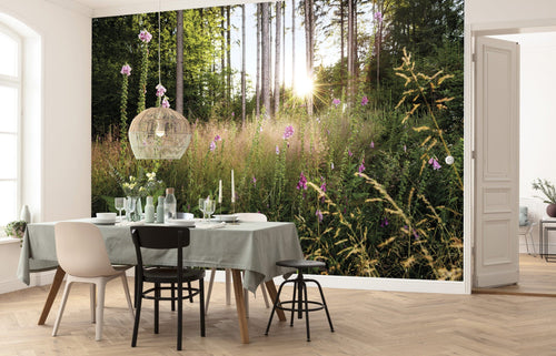 Komar Vlies Fototapete X7 1005 Summer Glade Interieur | Yourdecoration.de