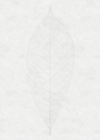 Komar Decent Leaf Vlies Fototapete 200x280cm 2-bahnen | Yourdecoration.de