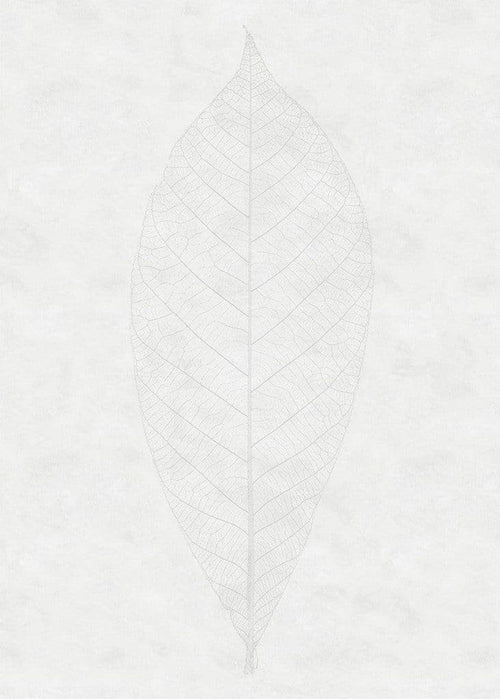 Komar Decent Leaf Vlies Fototapete 200x280cm 2-bahnen | Yourdecoration.de