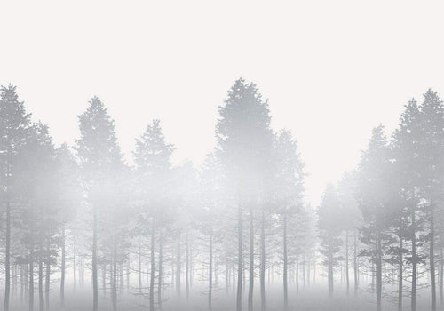 Komar Silver Haze Vlies Fototapete 400x280cm 8-bahnen | Yourdecoration.de