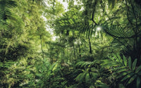 Komar Into The Jungle Vlies Fototapete 400x250cm 4-bahnen | Yourdecoration.de
