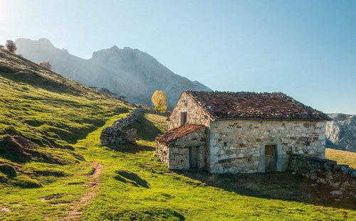 Komar Picos de Europe Alm Vlies Fototapete 450x280cm 9-bahnen | Yourdecoration.de