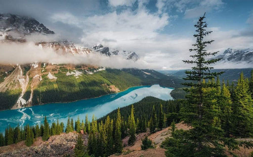 Komar Wonderland Canada Vlies Fototapete 450x280cm 9-bahnen | Yourdecoration.de