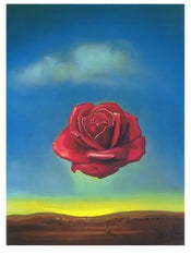 Kunstdruck Salvador Dali Rose Meditative 60x80cm SD 883 | Yourdecoration.de