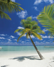 Komar Ari Atoll Fototapete 184x254cm | Yourdecoration.de