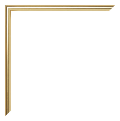 Annecy Kunststoff Bilderrahmen 20x25cm Gold Detail Ecke | Yourdecoration.de