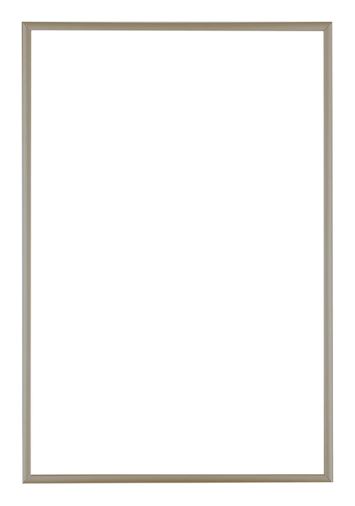 Austin Aluminium Bilderrahmen 61x91 5cm Champagner Vorne | Yourdecoration.de