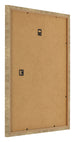 Bilderrahmen 28x35cm Gold Antik MDF Bologna Ruckseite Schrag | Yourdecoration.de