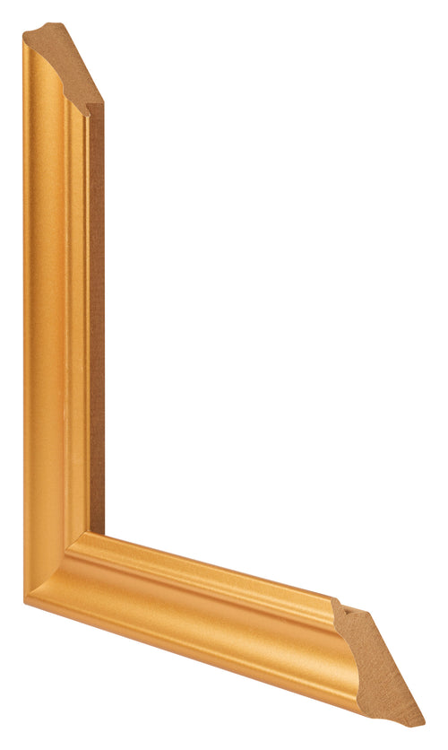 Bilderrahmen 40x80cm Gold Matt MDF Lazio Detail Querschnitte | Yourdecoration.de
