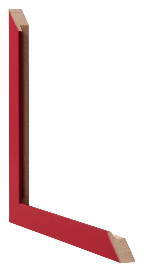 Bilderrahmen 49x68cm Rot MDF Bologna Detail Querschnitte | Yourdecoration.de