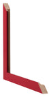 Bilderrahmen 55x65cm Rot MDF Bologna Detail Querschnitte | Yourdecoration.de