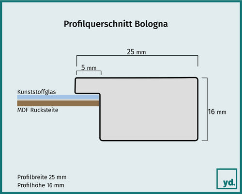 Bologna Detail Querschnitt Zeichnung | Yourdecoration.de