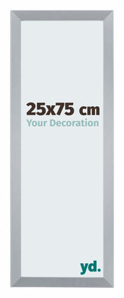 Catania MDF Bilderrahmen 25x75cm Silber Vorne Messe | Yourdecoration.de