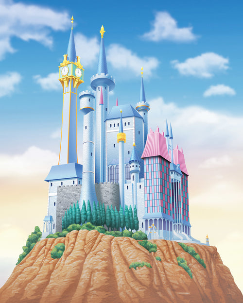 Disney Princess Cinderella Castle Fototapete DX4 233 | Yourdecoration.de