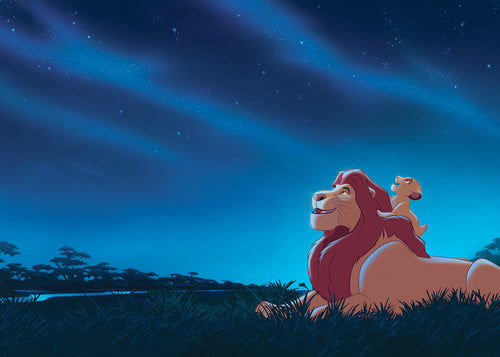 Disney The Lion King Stargazing Fototapete DX7 197 | Yourdecoration.de