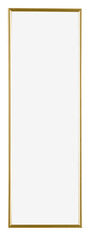 Evry Kunststoff Bilderrahmen 20x60cm Gold Vorne | Yourdecoration.de