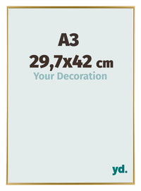 Evry Kunststoff Bilderrahmen 29 7x42cm A3 Gold Vorne Messe | Yourdecoration.de