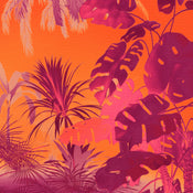 Fototapete Funky Jungle 250x250cm Komar FLX5 049 | Yourdecoration.nl