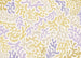 Fototapete Sage Flip 350x250cm FLX7 016 | Yourdecoration.nl