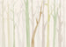 Fototapete Shadow Woods 350x250cm FLX7 008 | Yourdecoration.nl