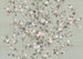 Komar Rosellia Vlies Fototapete 350x250cm 7 bahnen | Yourdecoration.de