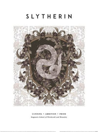 Kunstdruck Harry Potter Slytherin 30x40cm Pyramid PPR54401 | Yourdecoration.de