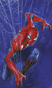 Marvel Spider Man Spider Fototapete DX3 210 | Yourdecoration.de