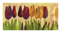 PGM CGC 14 Carlos Gomez Carpintero Tulipa II Kunstdruck 54x30cm | Yourdecoration.de